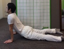 ６０歳以上の腰痛の原因と改善のためのストレッチ