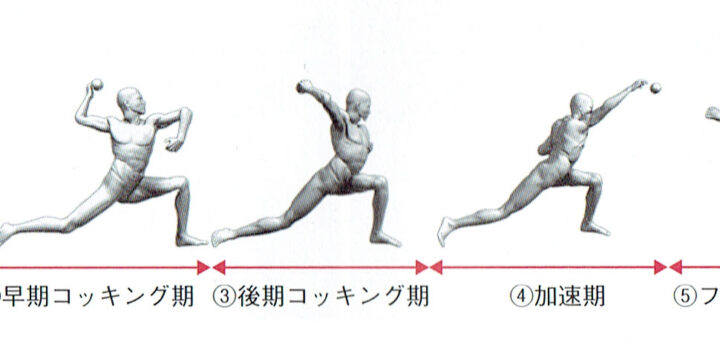 「野球肩・野球肘のメカニズム」~なぜ肩や肘が痛くなるのか?~