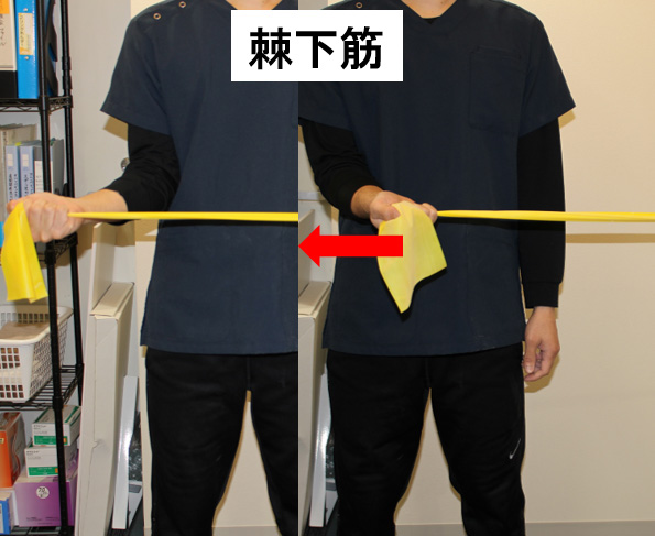 棘下筋