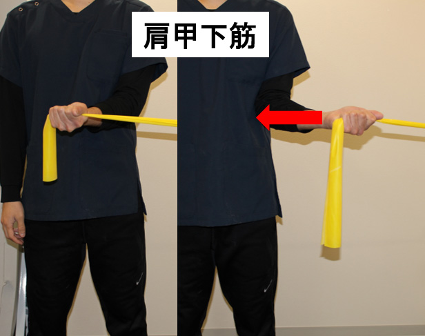 肩甲下筋