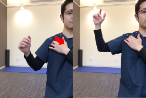 小胸筋アスター