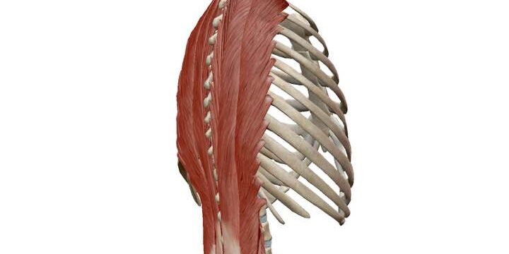 「ぎっくり腰」による腰の痛みがなかなか良くならない方へ