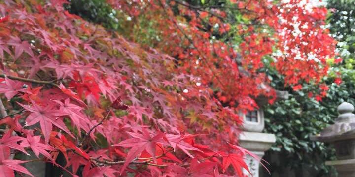 「整骨院と整体院の違いとは？」失敗しない治療院の選び方