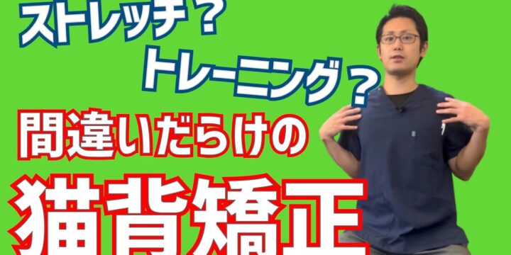 ストレッチやトレーニングをしても猫背が改善しない理由