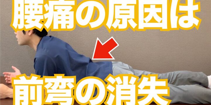腰痛の原因は「クッション性」の消失。腰本来の機能を取り戻して腰痛を改善する方法