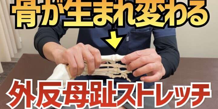 「骨が生まれ変わる」外反母趾を治す簡単ストレッチ