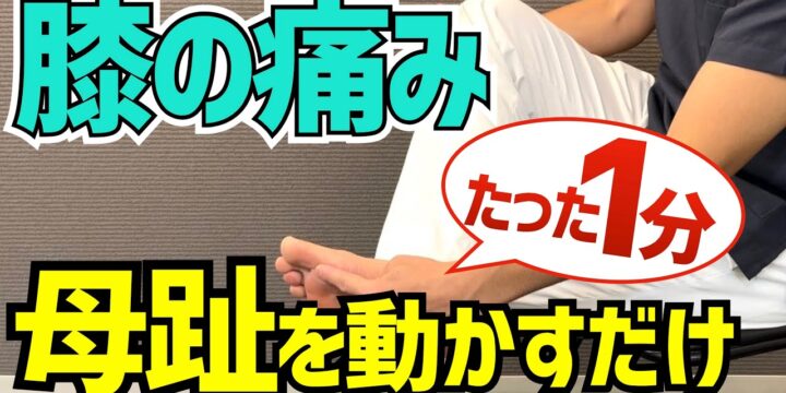 膝の痛みの原因は母趾にある。1分で改善するストレッチ