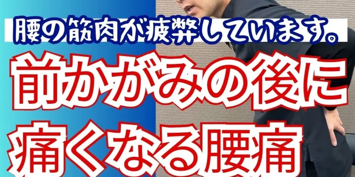 前かがみ、腰を曲げると感じる腰痛の原因とストレッチ