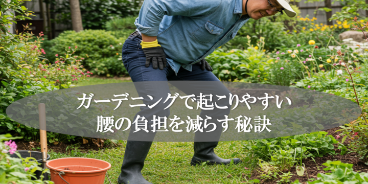 ガーデニングで起こりやすい腰の負担を減らす秘訣